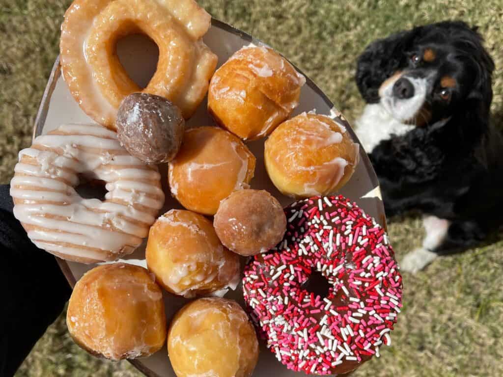 assorted donuts and Texas sized donut holes from KC donuts