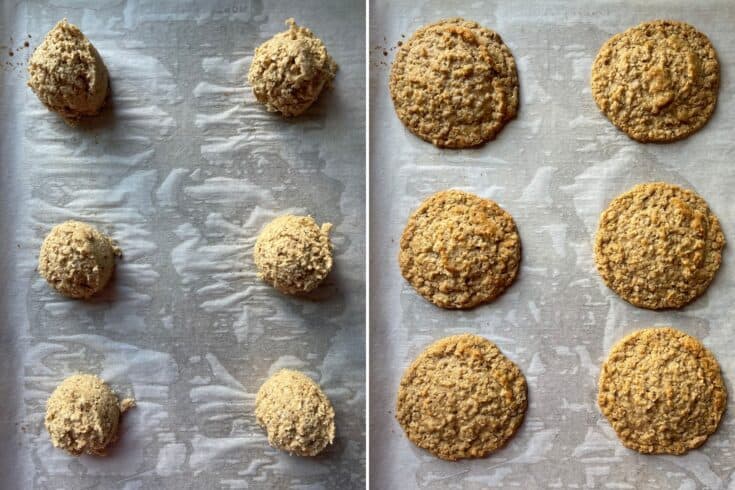 Oatmeal Cream Pie Bake Off With The Woodruffs   Recipe 3 MELS KITCHEN 735x490 