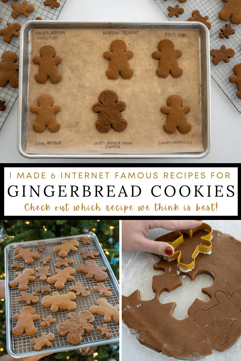 I Made 6 Gingerbread Cookie Recipes - With the Woodruffs
